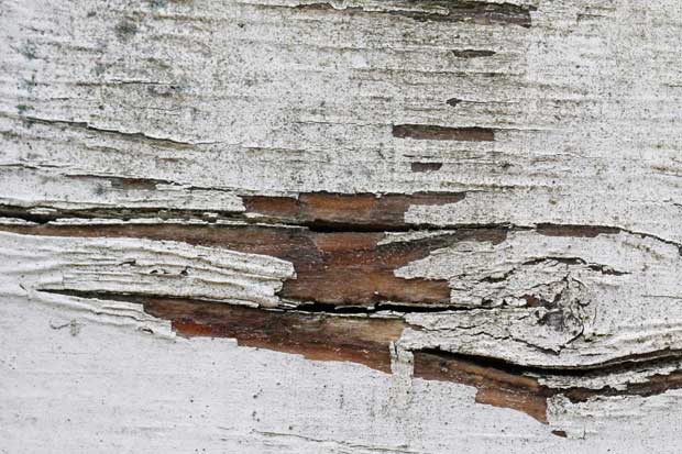 valleys in the vinyl macro distressed wood texture 01 promo
