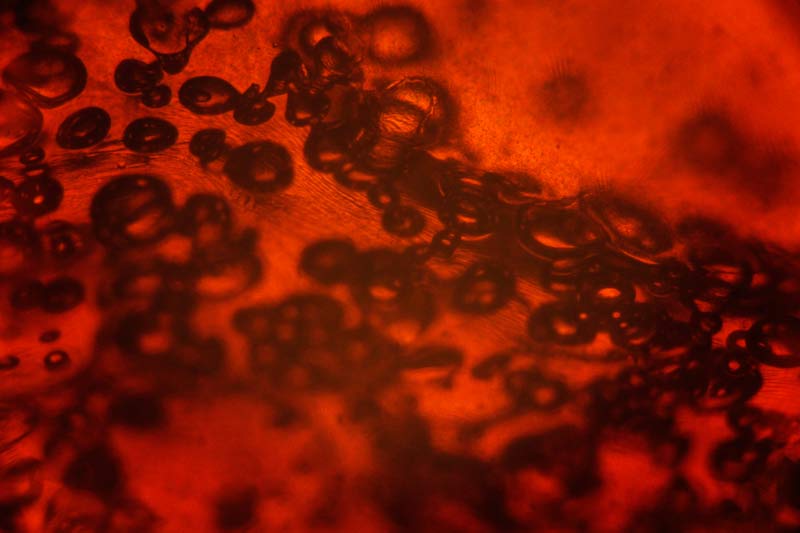 valleys in the vinyl microscopic burned film texture 08 promo