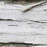 MacroDistressedWood_thumb