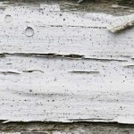 9 Macro Distressed Wood Textures