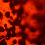 11 Microscopic Burned Film Textures
